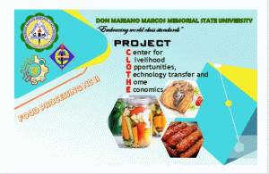 DMMMSU upskills TLE professors through PROJECT CLOTHE