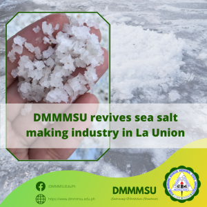 DMMMSU revives sea salt making industry in La Union
