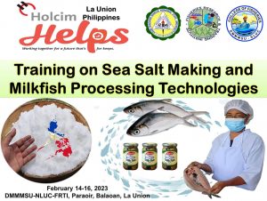 DMMMSU holds training on Sea Salt Making, Milkfish Processing