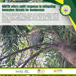 NARTDI offers swift response in mitigating honeybee threats for businesses