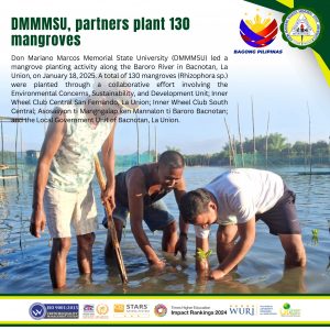 DMMMSU,  partners plant 130 mangroves